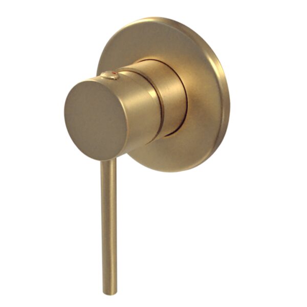 NM0A000 Blutide Neo Brushed Brass Concealed Shower Mixer_Stiles_Product_Image