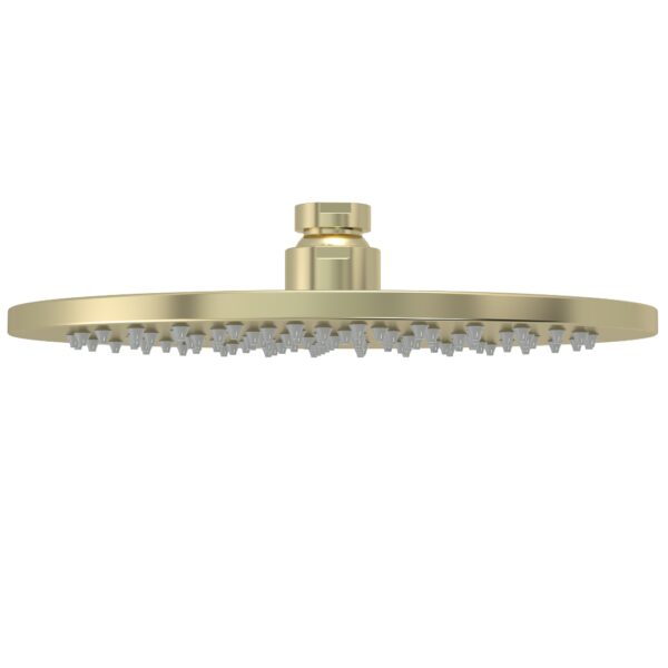 MH04-BB Meir Round Tiger Bronze Gold Shower Head_Stiles_Product_Image